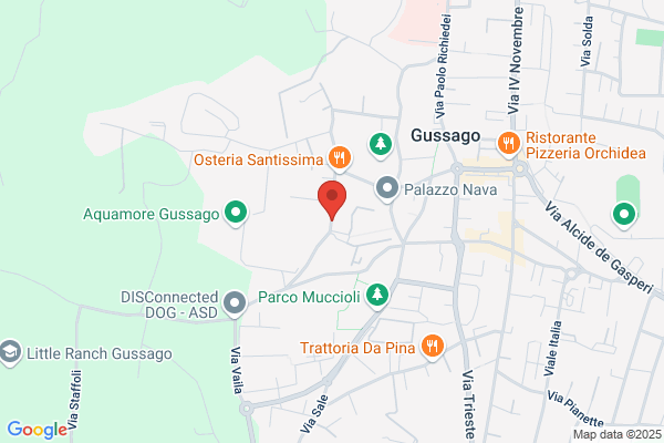 Vigasio donato (Rag.)
