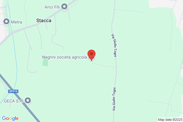 Negrini paolo (Dr.)