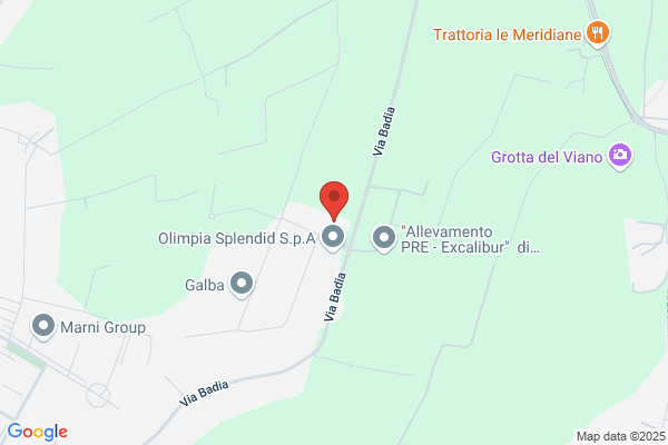 Nuovo Taglio Di Ghedi E Marmaglio (S.N.C.)