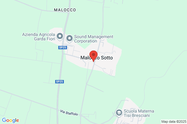 Folgore Di Zanier Alide Ed Eredi Di mario mazzoletti (S.A.S.)