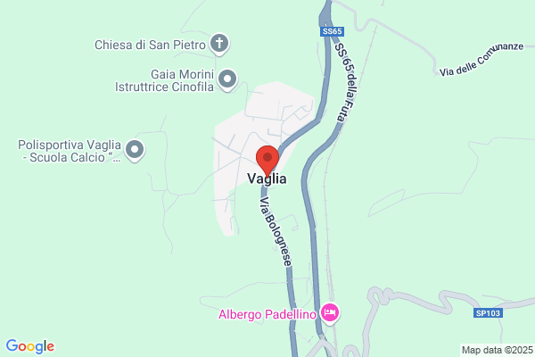 Vaglia carolina