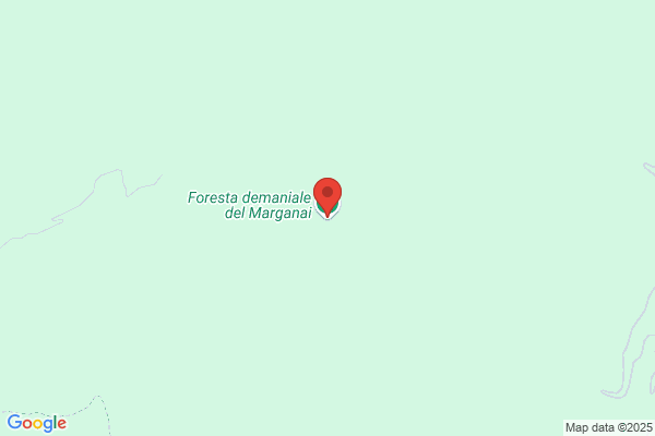 Ente Foreste Della Sardegna