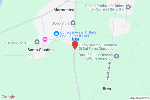 Filippinicastagna Almerina