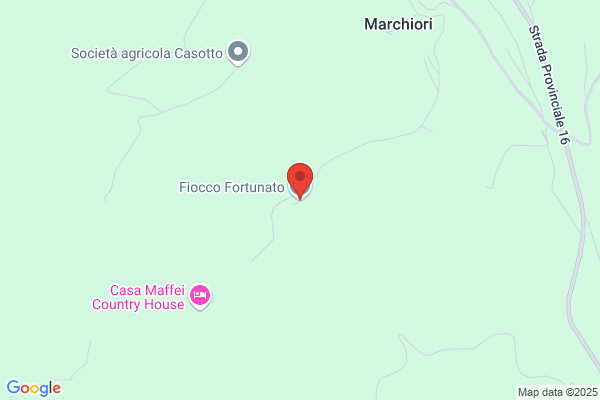 Fiocco Fortunato