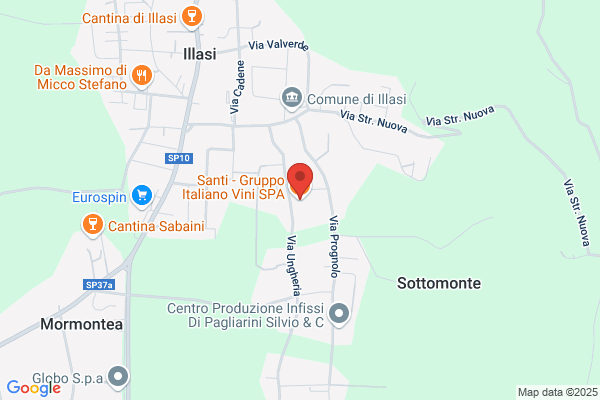 Gruppo Italiano Vini S.C. A R.L.