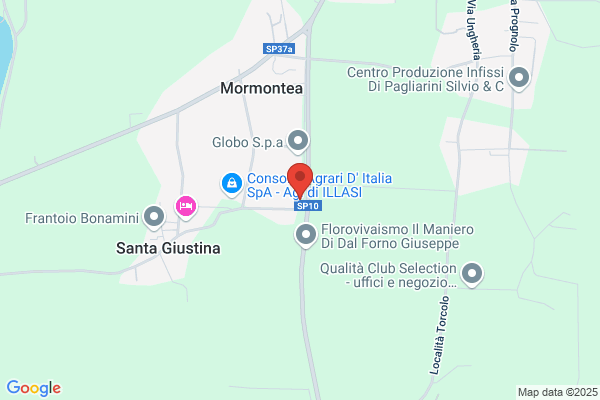 Ricciolo Srl