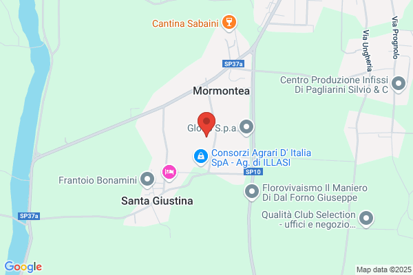 Stampa Grafica