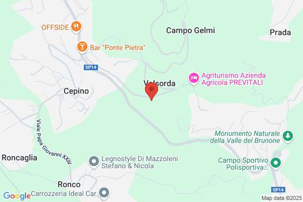 Meccanica Mazzoleni 0