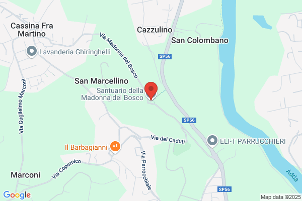 Santuario Madonna Del Bosco