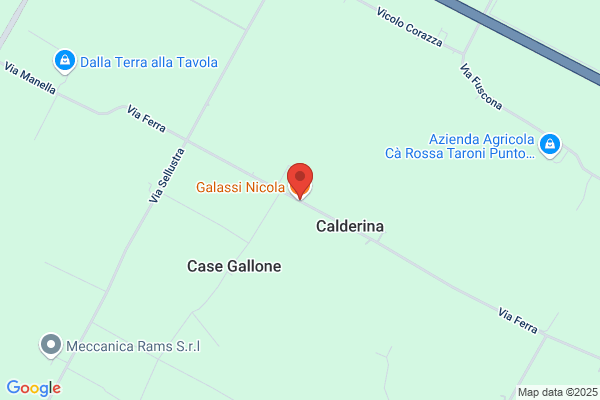 Galassi Enzo
