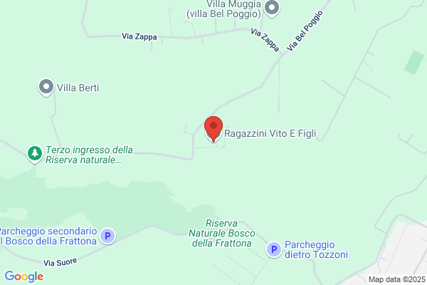 Galamini Nerio