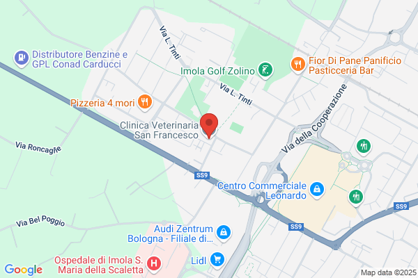 Ambulatorio Veterinario S.Francesco Di Galavotti E Penazzi