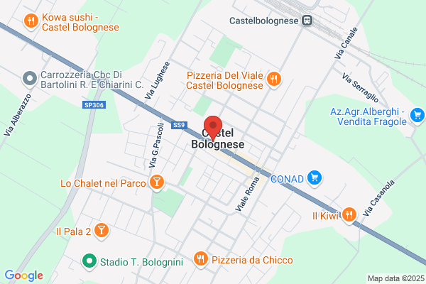 Il Tulipano Di Pifferi Patrizia