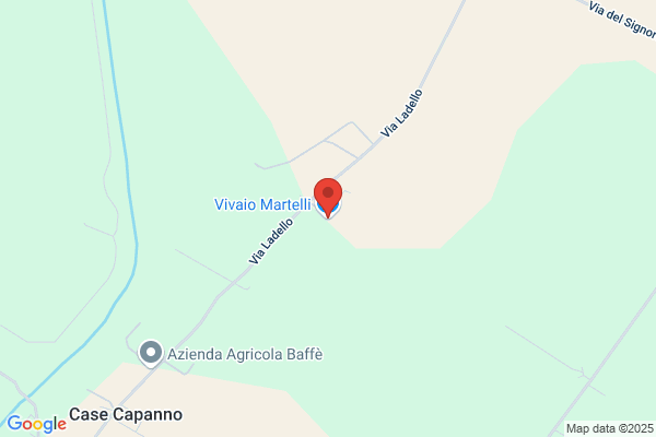 Martelli Vito F.L.N. E Geminiani Domenica