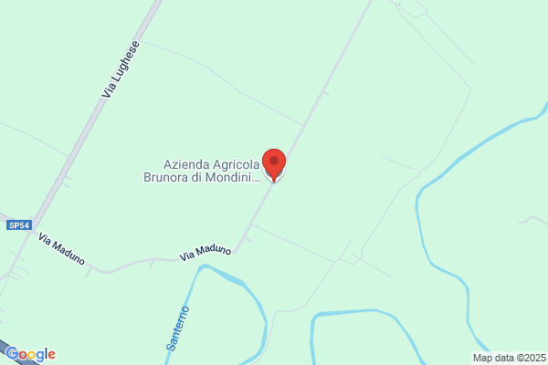 Mondini graziella