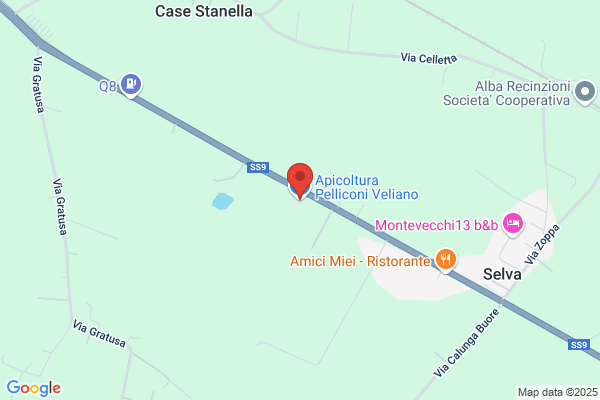 Pelliconi vittorio