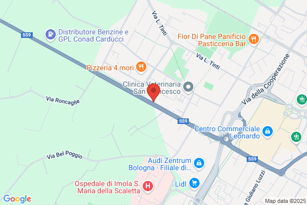 Esso Italiana S R L