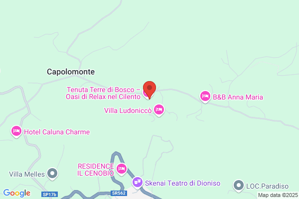 Ristorante L. Saraceni & C. Sas