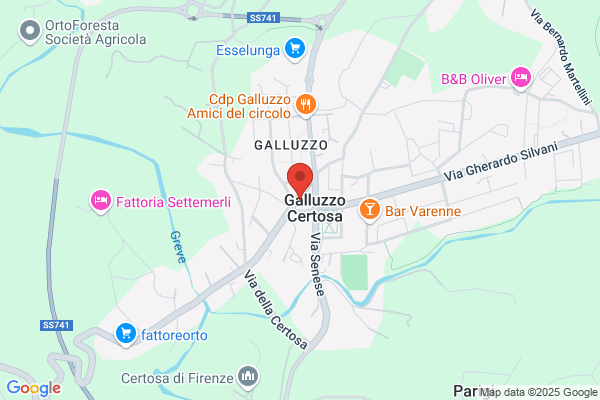 Misericordia Del Galluzzo