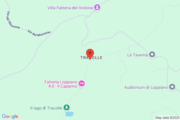 Raspanti paolo