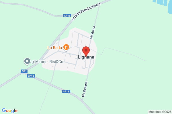 Lignana E. & Lazzarino A.