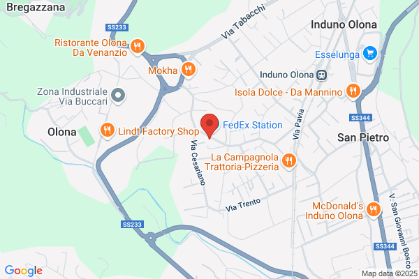 Giovanna Tagliaecuce Di Romano Giovanna