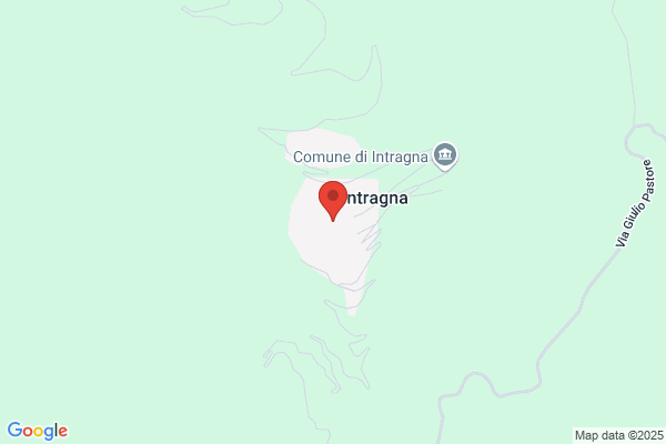 Ptp Commestibili Rollini