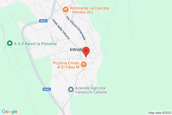 Selva fratelli
