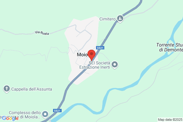 Moiola rino