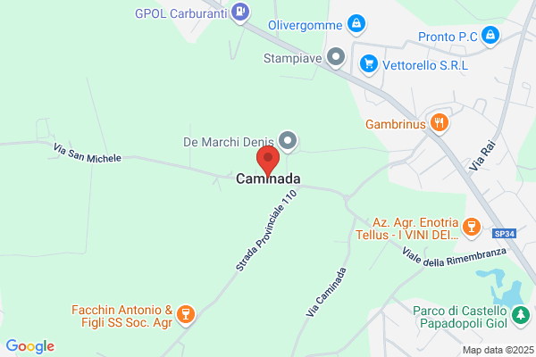 Ptp Caminada Mauro