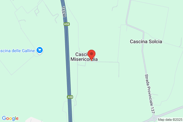 Mapelli enrico