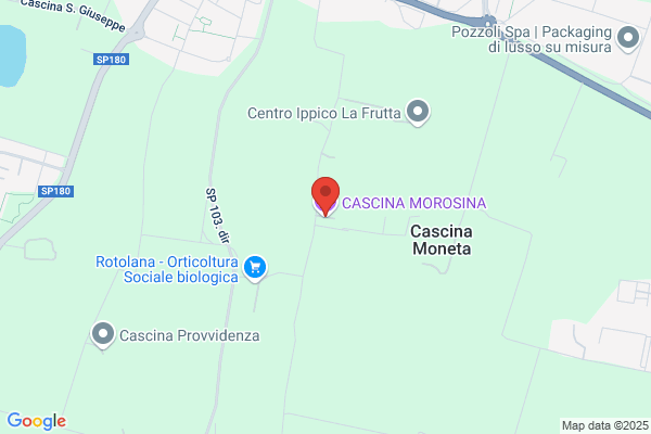 Moro simonetta