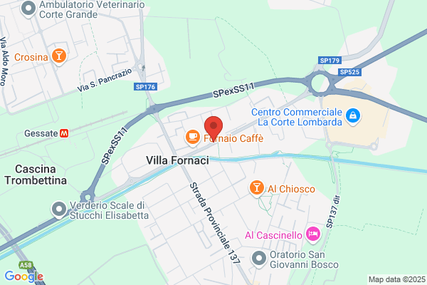 Manzoni,marta