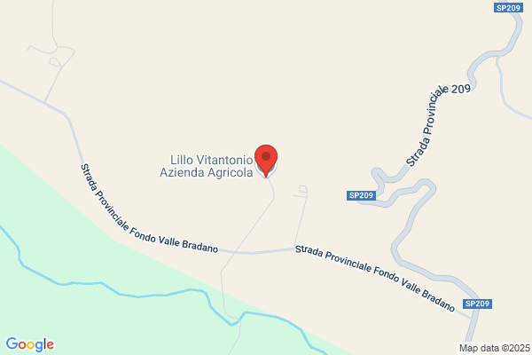 Lillo Vitantonio Azienda Agricola
