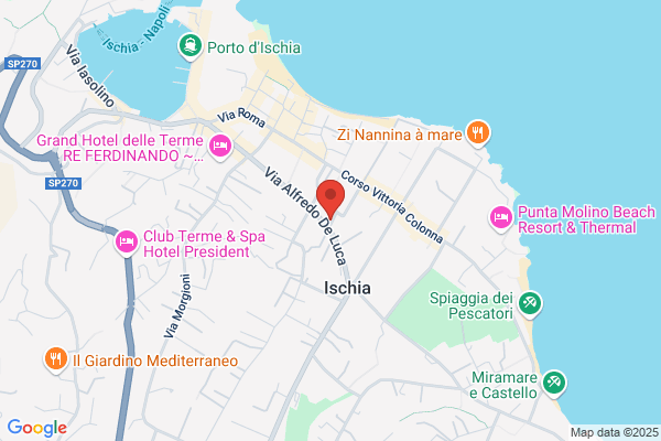 Net-Telematica