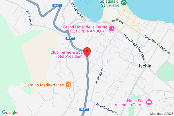 Hotel Terme President