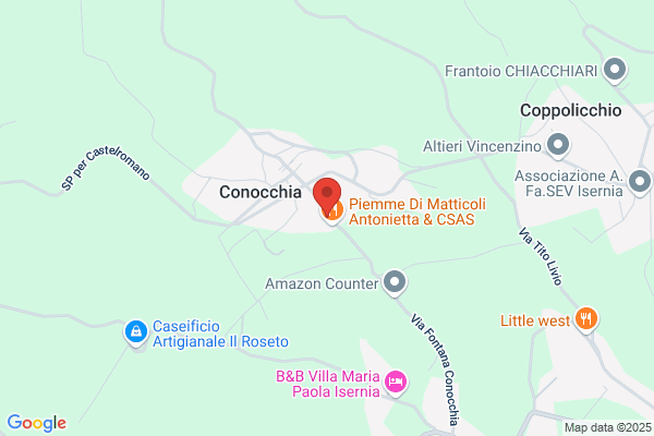 Edilconocchia