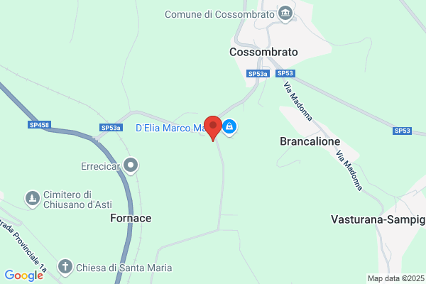 Cane francesco