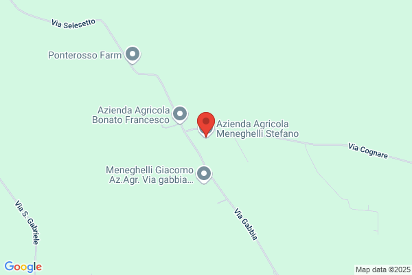 Meneghelli vittorino