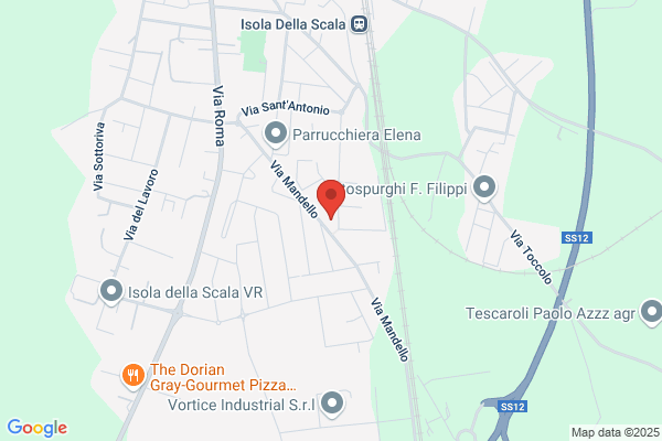 Impresa Edile Vetrioli