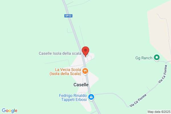 Ptp Trattoria Caselle (Or. 7-21)