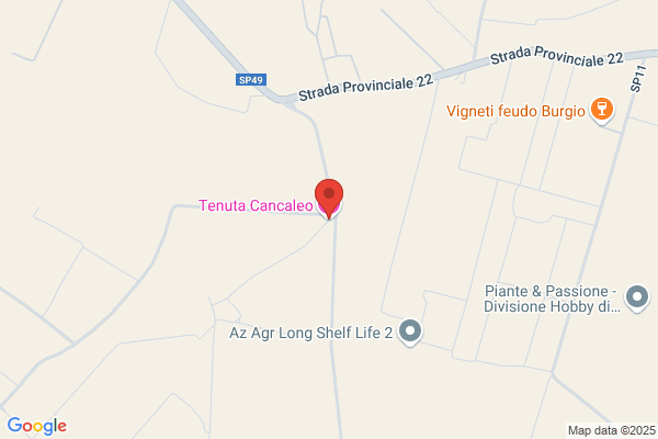 Tenuta Cancaleo