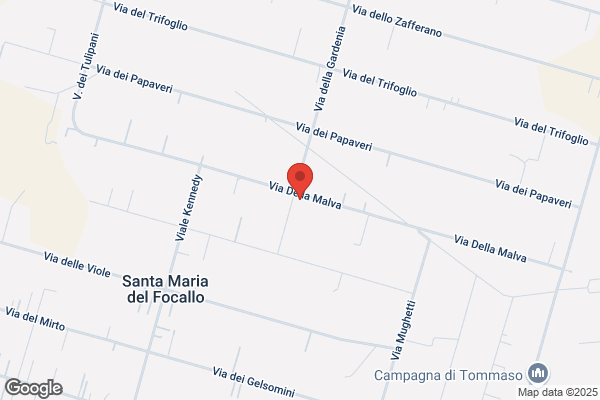 Rustico carmela