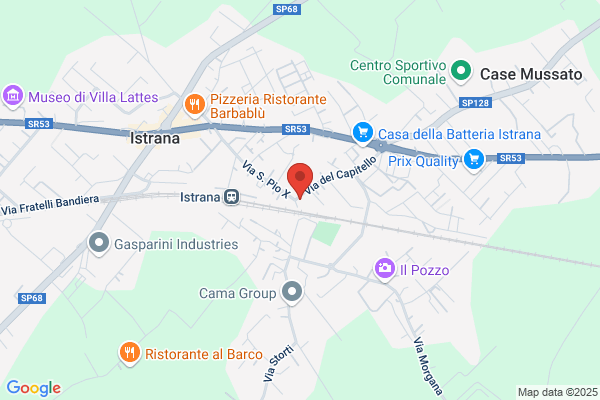 Peruzzo domenico
