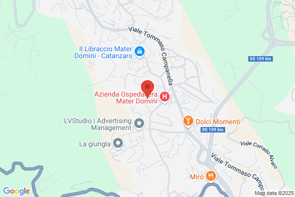 Aielloarte