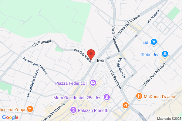 Polipo Sas Di Mauro Massaccesi & C.