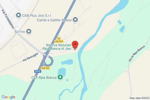 W.W.F. Italia Oasi Ripa Bianca Di Jesi