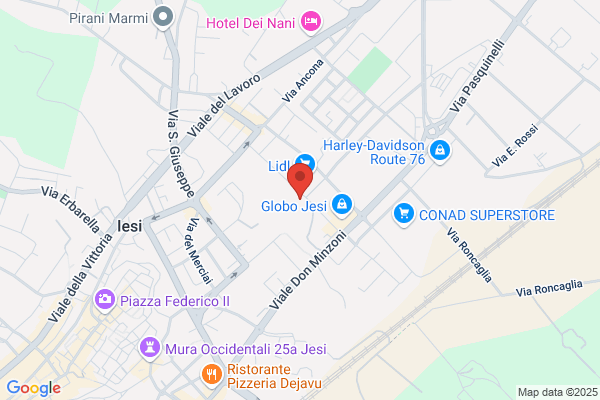 Il Pappagallo Di Catena Simone
