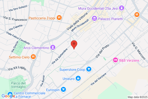 Palestra A.S. Budo Center Jesi