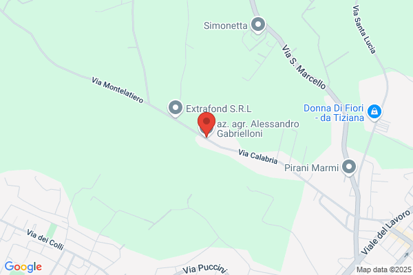 Gabrielloni Ing. Nello